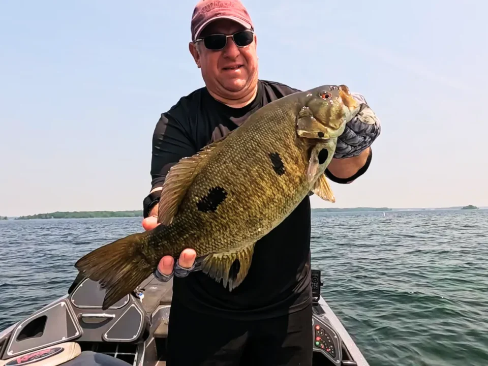 black-spots-on-bass
